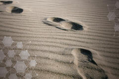 blog_image_9D5F4128-5DBD-479E-9E60-8E8F80C70EEA.jpeg